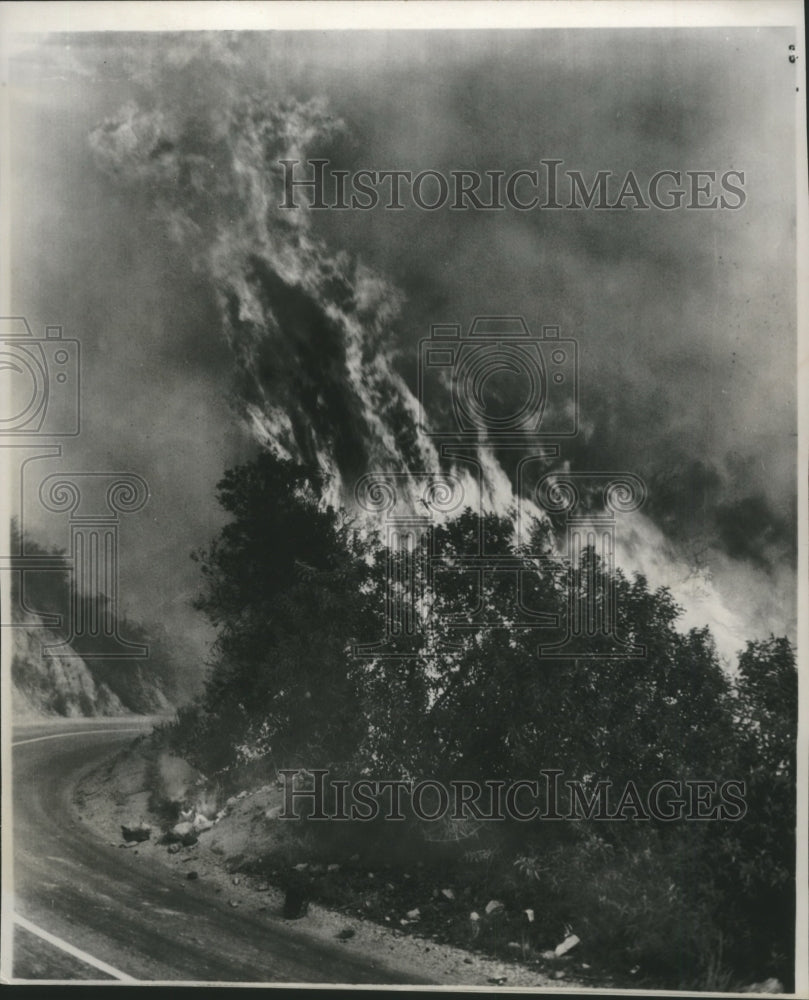 1954 Press Photo Forest Fire beside road near Monrovia California - mjb21084 - Historic Images