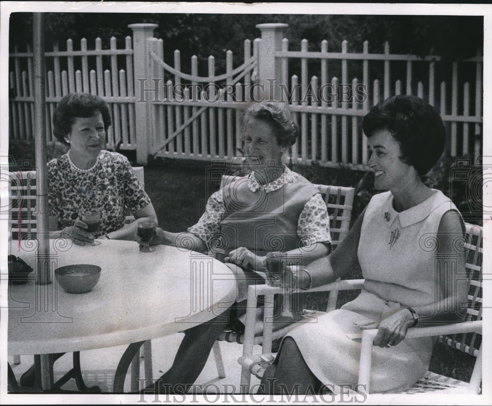 1968 Press Photo Collectors Corner members enjoy picnic at Wanvig Pool - Historic Images