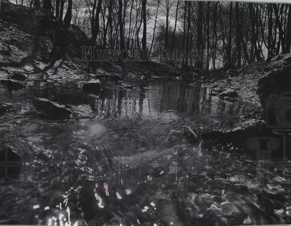 1978 Press Photo Honey Creek Near Loomis Road in Greenfield, Wisconsin - Historic Images