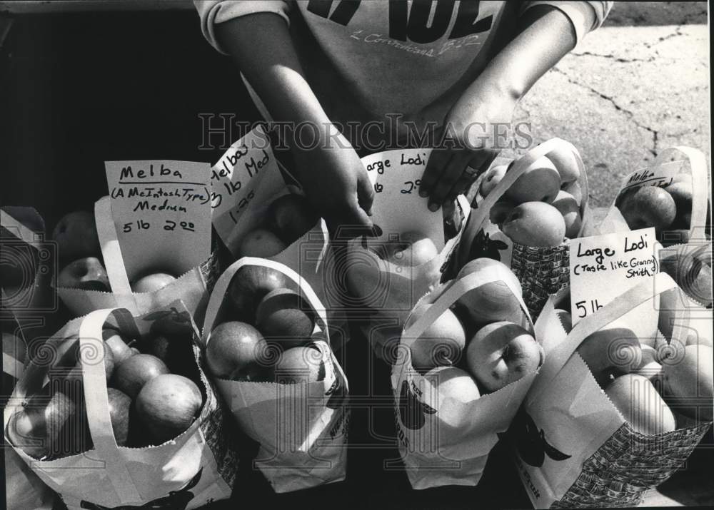 1989 Press Photo Apples from Nieman Orchard prepared for sale by Carol Guentner - Historic Images