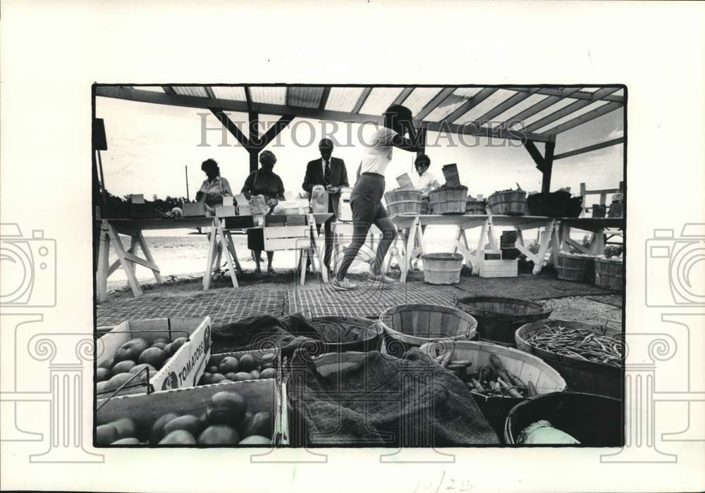 1984 Press Photo Cheryl Schmit helps customers at green market on Good Hope Road - Historic Images