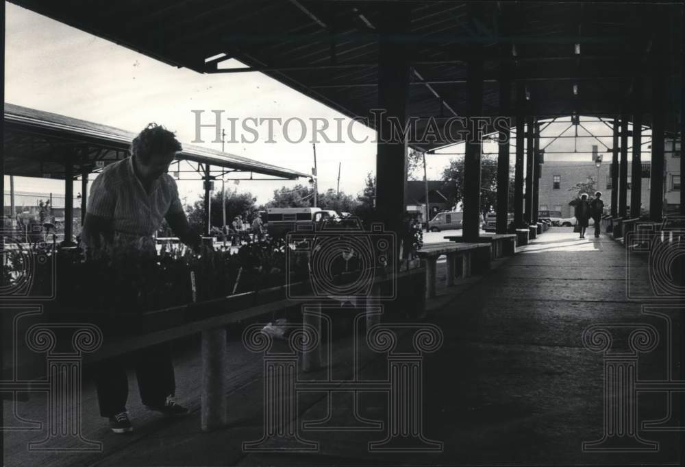 1985 Press Photo Woman sells flowers at Farmers Market, West Allis, Wisconsin - Historic Images