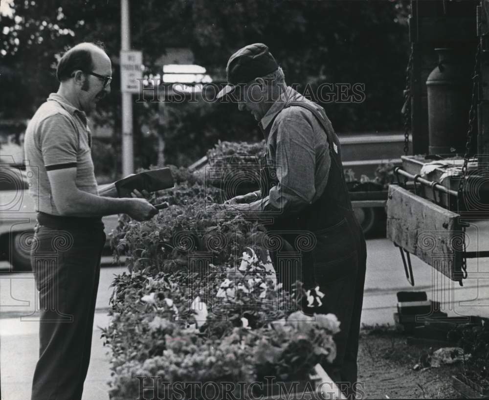 1974 Henry Dvorak buys tomato plants at West Allis Farmers' Market - Historic Images