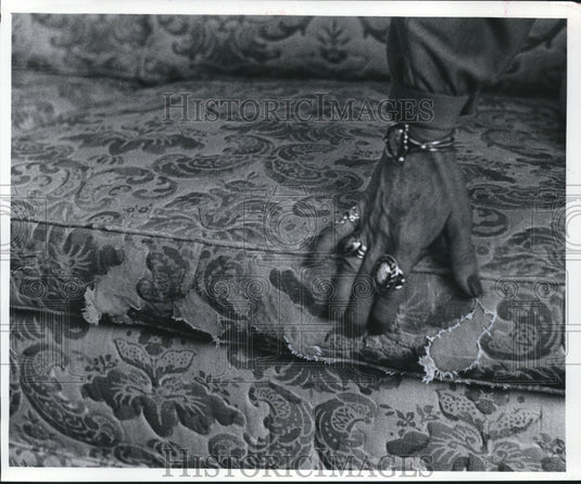 1979 Press Photo Ripped Sofa in Madison Wisconsin Executive Mansion - mjb26410-Historic Images
