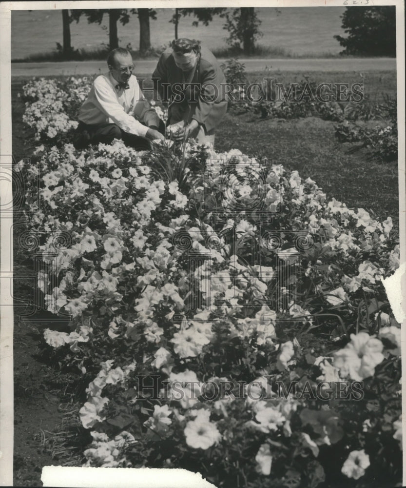 1950 Press Photo Mr. and Mrs. Chester Thomas in a Flower Bed at their Home - Historic Images