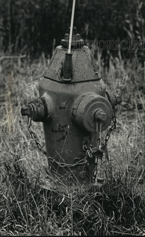 1992 Press Photo Fire Hydrant in River Ridge Subdivision of Mequon, Wisconsin - Historic Images