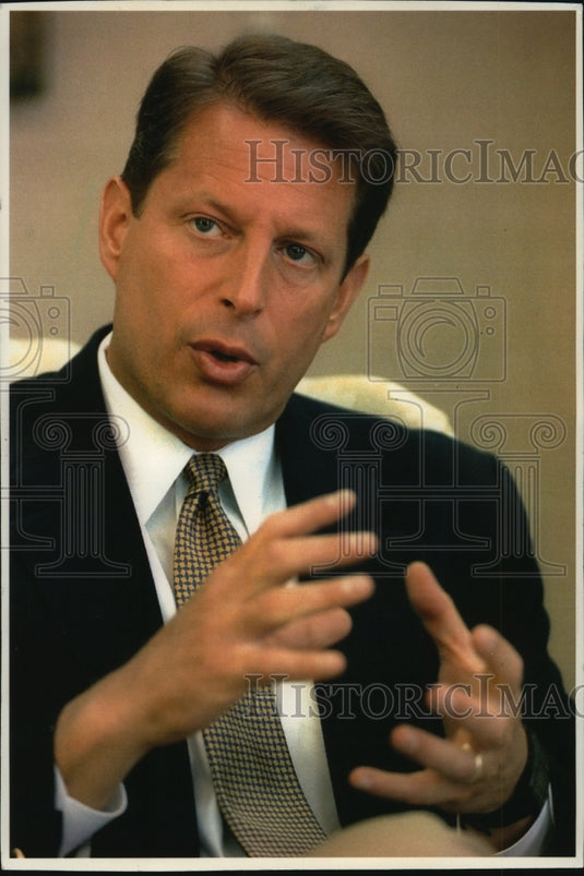1993 Press Photo Al Gore, Vice President of the United States - mjb29261 - Historic Images