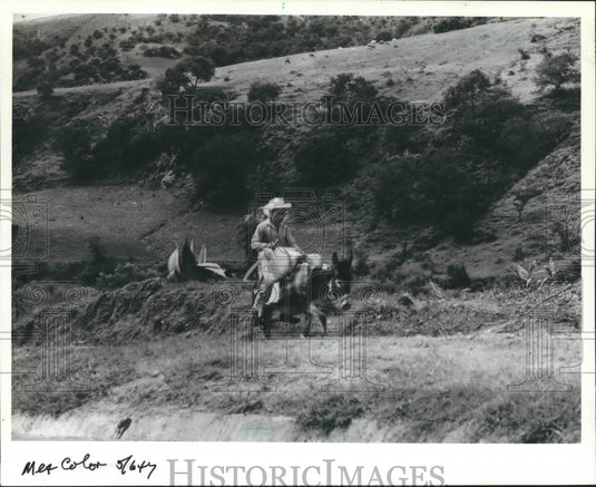 1982 Press Photo A farmer on his burro slowly makes his way, Oaxaca, Mexico. - Historic Images