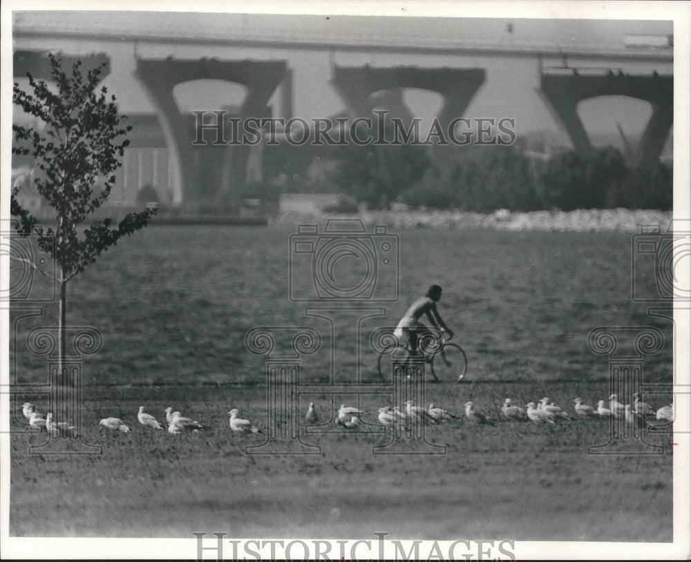 1983 Cyclist at McKinley Marina Landfill at McKinley Beach-Historic Images