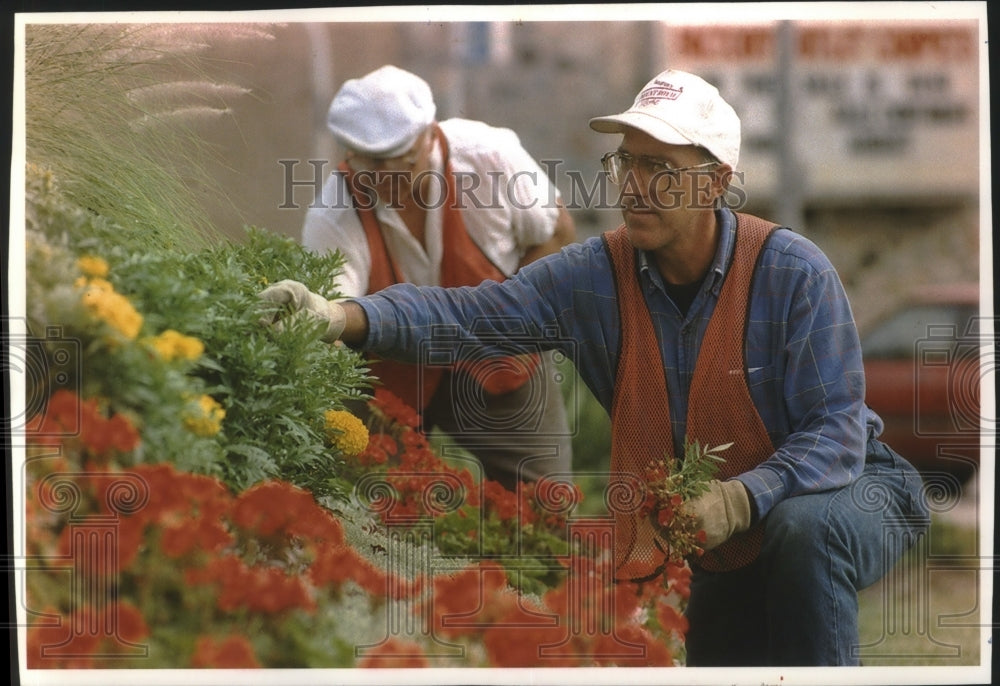 1993 Press Photo Tom Otto, City Gardener, Tends A Boulevard In Milwaukee - Historic Images