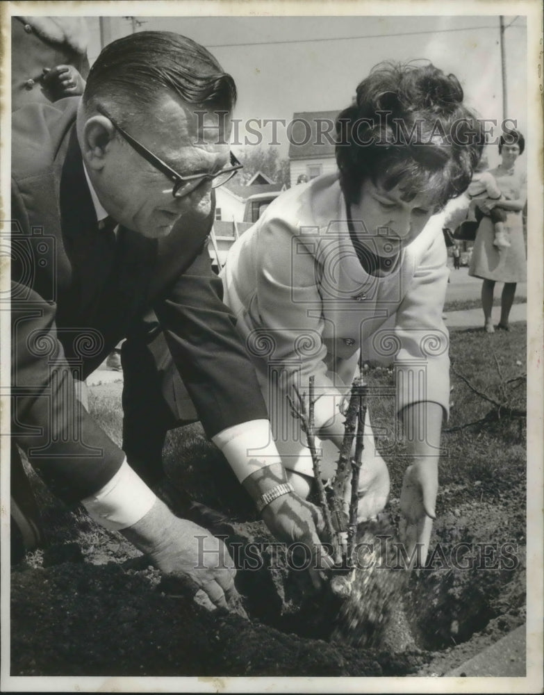 1969 Press Photo Wisconsin Mayor Henry Maier&#39;s wife helps Robert plant roses-Historic Images
