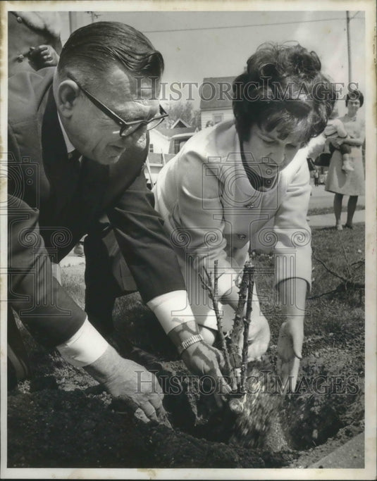 1969 Press Photo Wisconsin Mayor Henry Maier's wife helps Robert plant roses-Historic Images