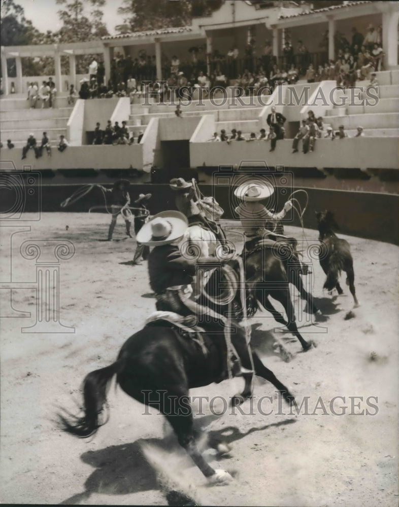 1951 Press Photo Mexican Rodeo - mjb45116 - Historic Images