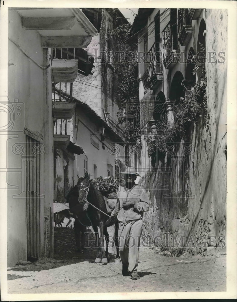 1963 Press Photo Indian with horse loaded with firewood hoping to sell, Taxco - Historic Images