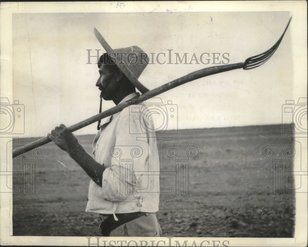 1943 Press Photo A Sinarquista farmer looking over his fields, California. - Historic Images