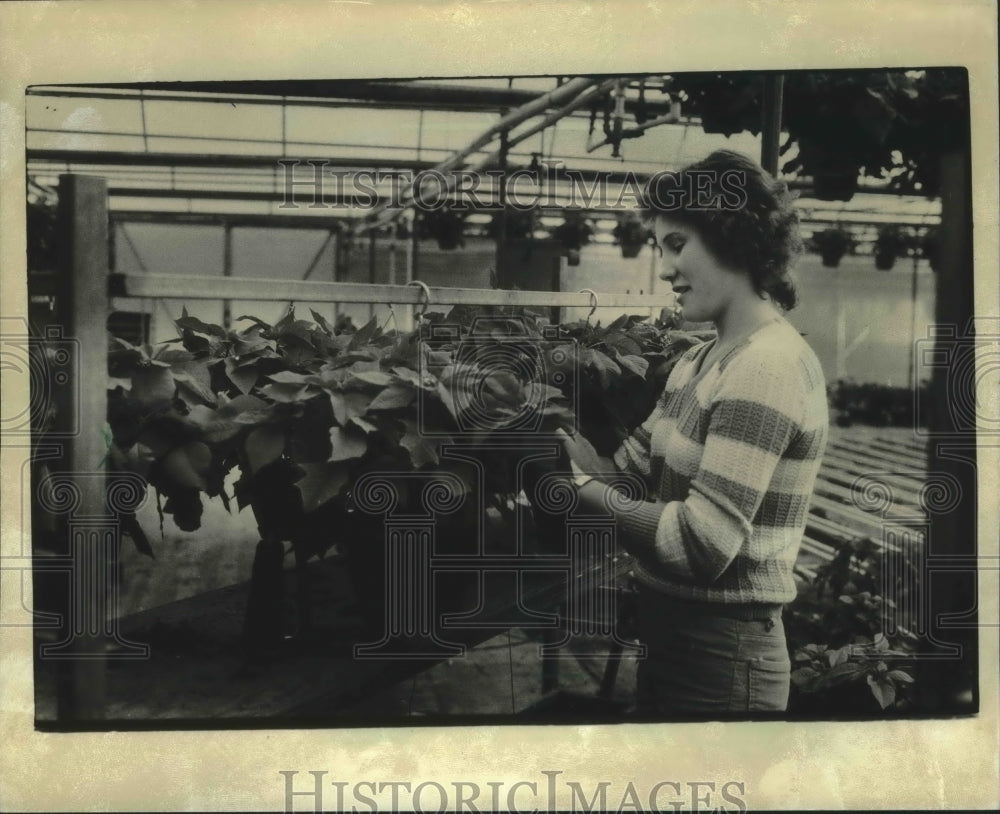 1982 Press Photo Marlene Dworak, Grelling Farms Inc., works with poinsettias - Historic Images