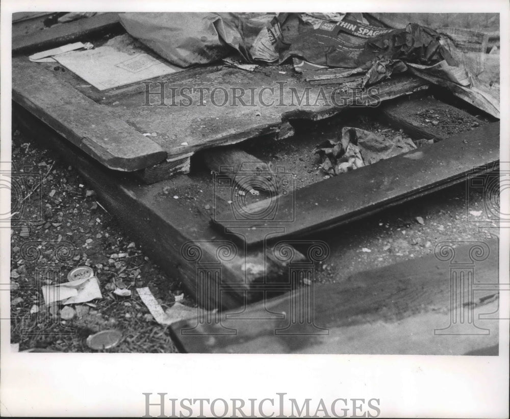 1966 Press Photo Rat amid Milwaukee garbage. - mjb47049 - Historic Images