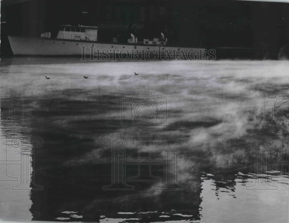 1950 Press Photo Ducks swim as steam rises from the Milwaukee River, Milwaukee- Historic Images