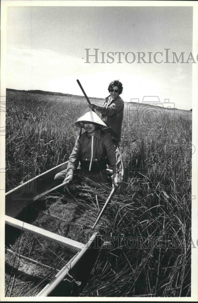 1979 John Jackson knocks rice into canoe while partner moves canoe.-Historic Images