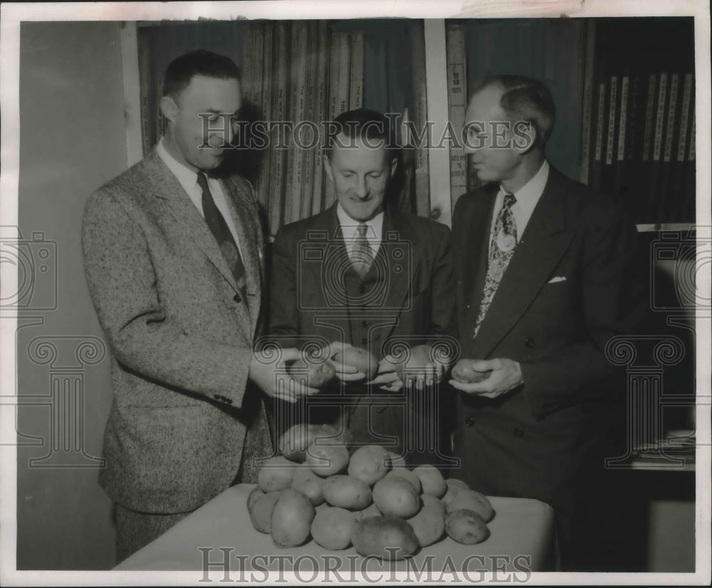 1953 Press Photo Starks Farms officials with newly bred Starks Red potatoes - Historic Images