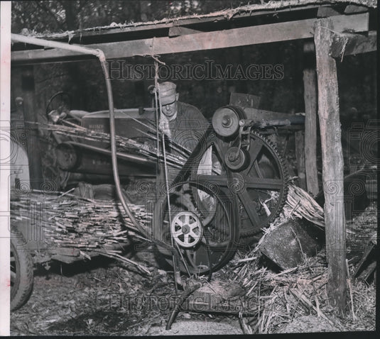1954 Press Photo Everett Grant operating a press to squeeze out sap, Oriordville - Historic Images
