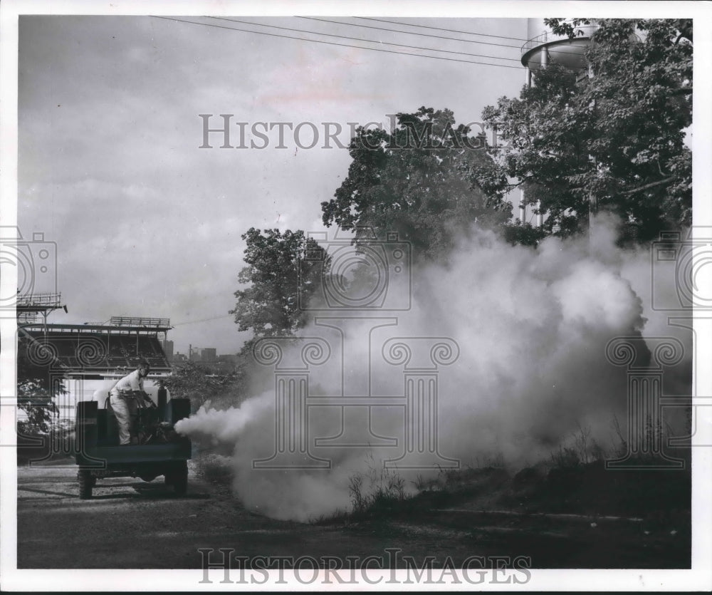 1955 Press Photo Crew sprays trees to fend off mosquitos for Milwaukee Stadium - Historic Images