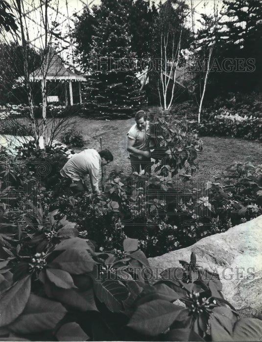 1982 Press Photo Gardeners for Mitchell Park Domes prepare for Christmas show - Historic Images
