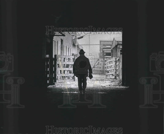1979 Press Photo Cattleman walked from barn to the holding pens at the stockyard - Historic Images