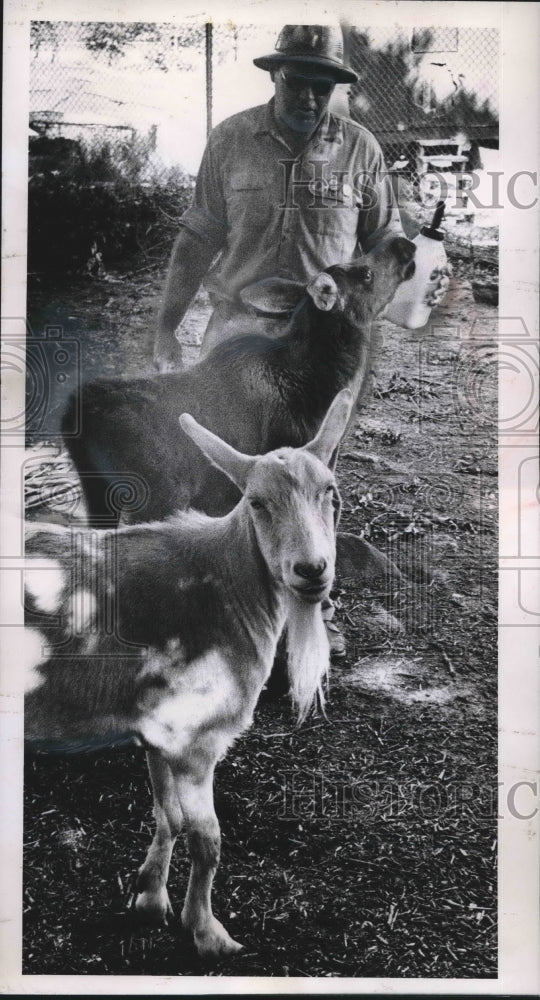 1962 Press Photo Jack Hohberg, zoo keeper with billy goat and moose, Milwaukee. - Historic Images