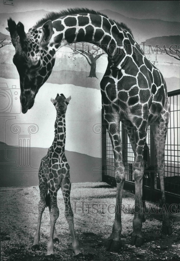 1989 Press Photo Malindi the giraffe with her offspring at Milwaukee County Zoo - Historic Images