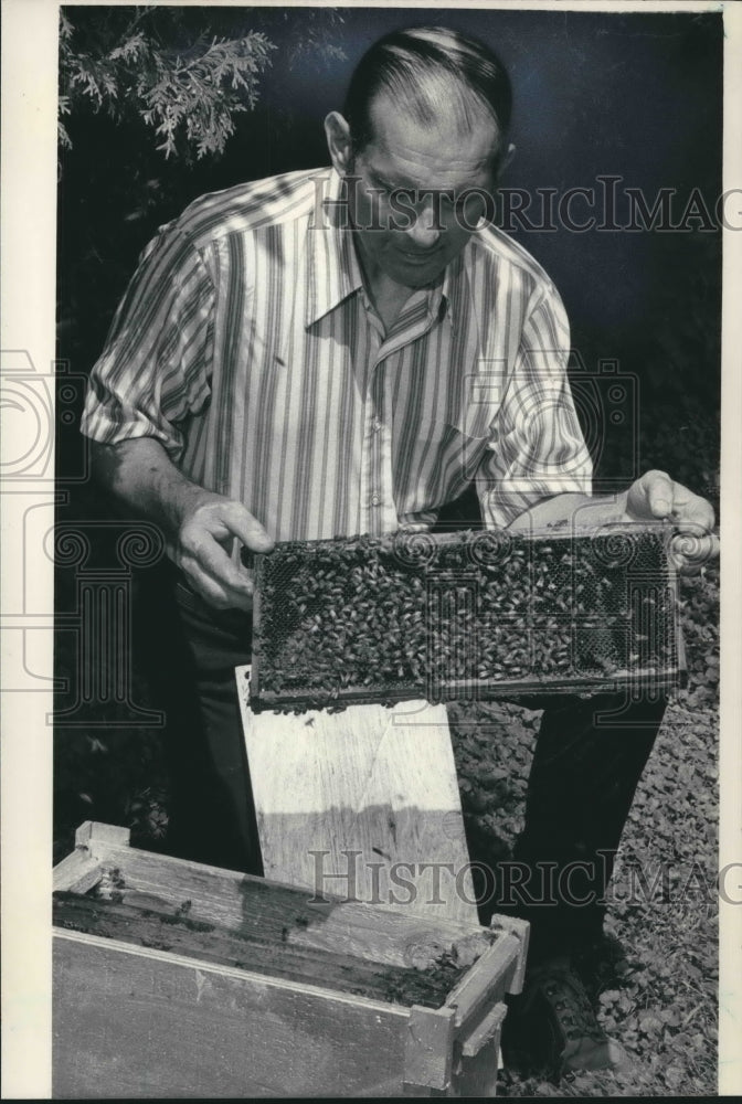 1983 Walter Diehnelt working bee hive, Honey Museum, Wisconsin - Historic Images