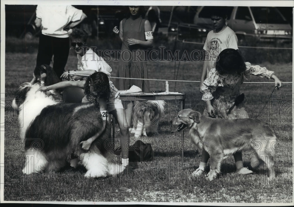 1991 Press Photo Doggy Combo- Ozaukee County Humane Society Holds Obedience Show - Historic Images