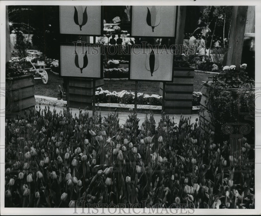 1961 Press Photo Home Show groups of people looking at the flowers - mjb56282 - Historic Images