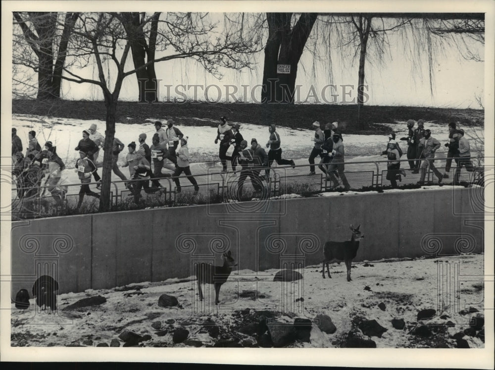 1986 Press Photo Samson Stomp Runners Passing by Milwaukee Zoo Deer - mjb56449 - Historic Images