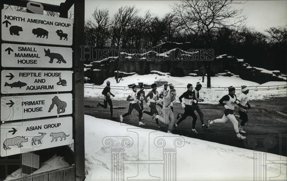 1982 Samson Stomp runners Winterval '82 Festival at Milwaukee Zoo - Historic Images
