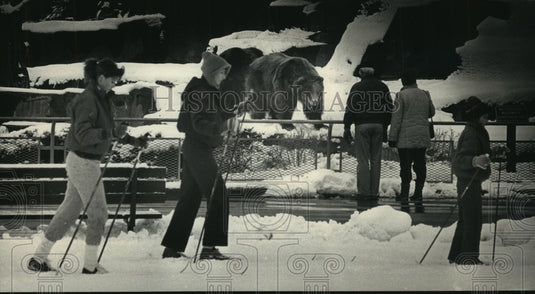 1987 Press Photo Visitors cross-county ski past bears at Milwaukee County Zoo - Historic Images