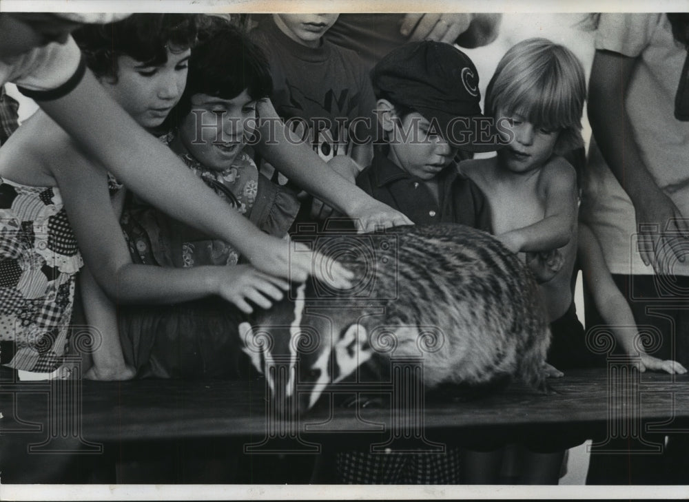 1975 Badger at Milwaukee County Children&#39;s Zoo-Historic Images