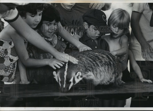 1975 Badger at Milwaukee County Children's Zoo-Historic Images