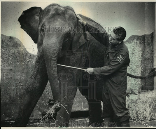1989 Press Photo James Rueda helps new elephant calf adjust at the Milwaukee Zoo - Historic Images