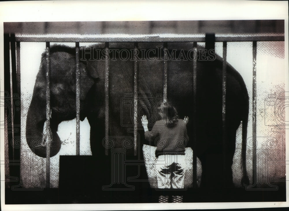 1994 Press Photo Moola, the elephant, heading to Springfield Zoo from Milwaukee - Historic Images