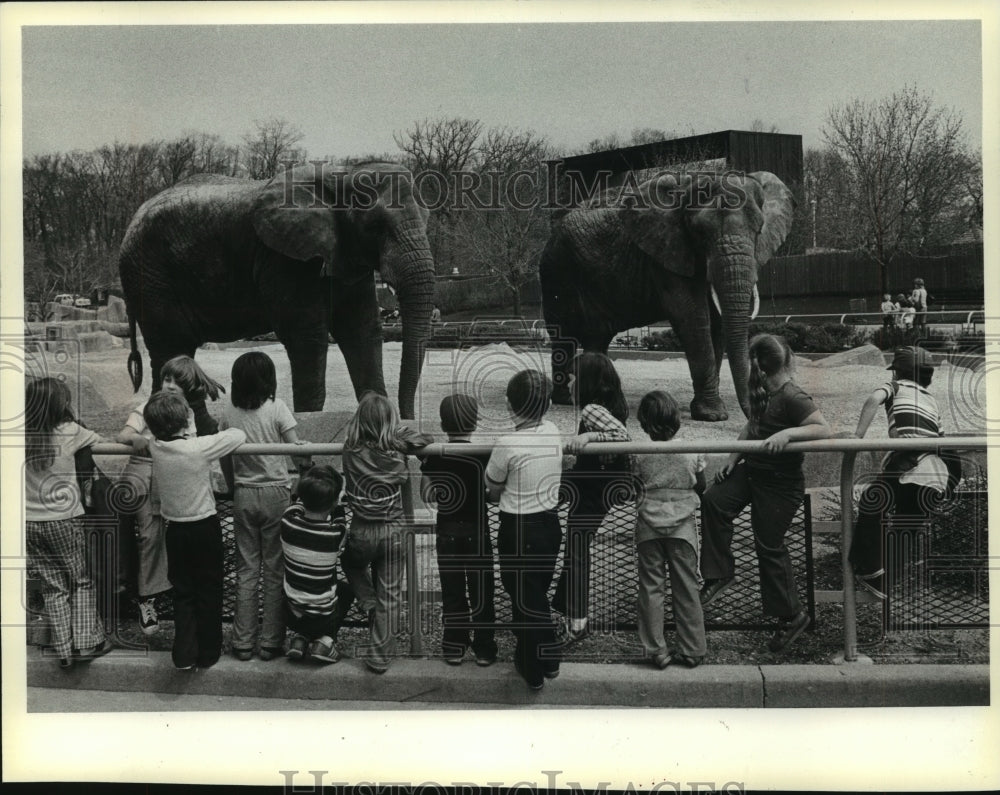 1984 Press Photo Elephants, one of the must see animals at the Milwaukee Zoo - Historic Images