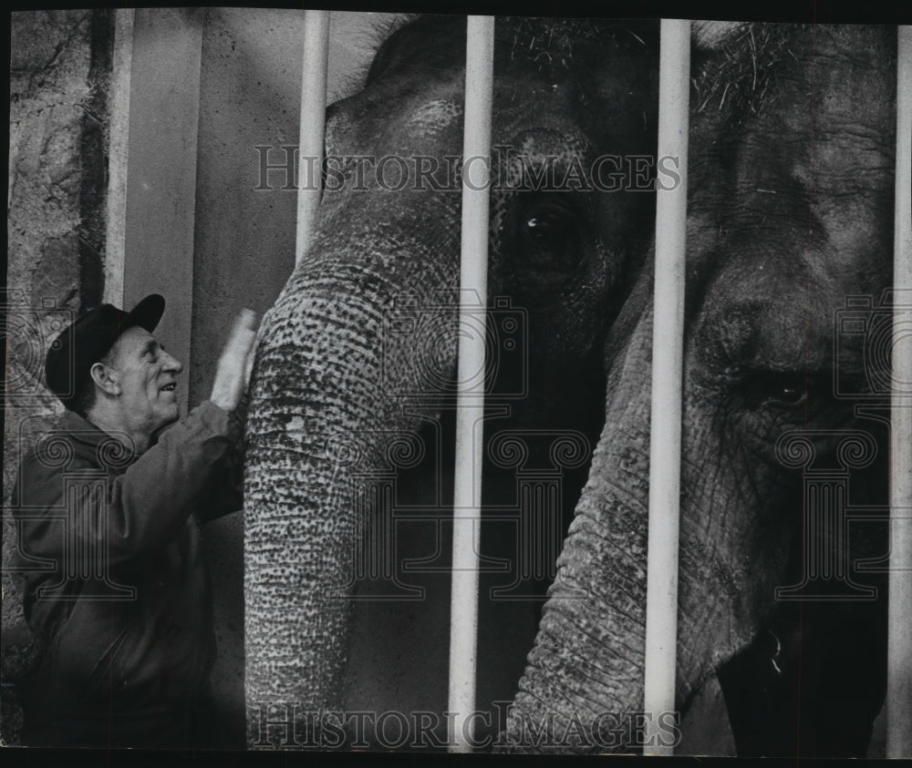 1969 Press Photo Elephants say good-by to retiring Frank Hodach at Milwaukee Zoo- Historic Images