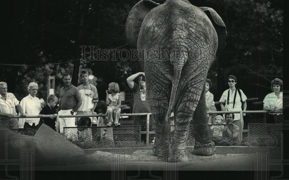 1986 Press Photo Milwaukee County Zoo elephant looks at visitors - mjb56934 - Historic Images