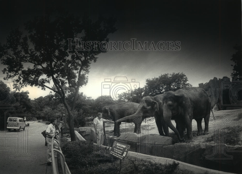 1986 Press Photo Assistant Supervisor Cliff Van Been greets elephants - Historic Images