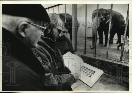 1989 Press Photo Jack Watson and other volunteers watch elephants - mjb56936 - Historic Images
