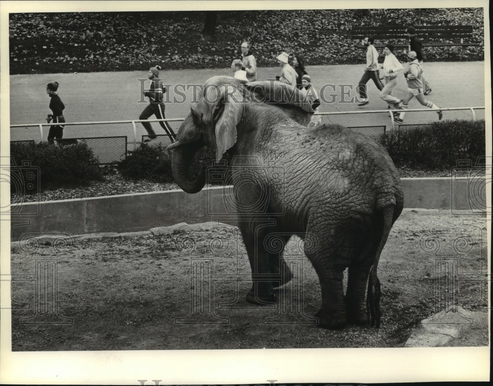 1981 Press Photo Runners compete in Milwaukee County Children&#39;s Zoo Run - Historic Images