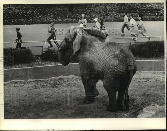 1981 Press Photo Runners compete in Milwaukee County Children's Zoo Run - Historic Images