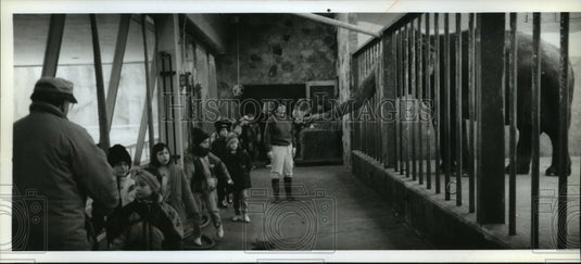 1994 Press Photo Elephants Behind-the-Scenes at Milwaukee County Children's Zoo - Historic Images