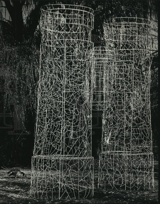 1986 Bill Reid's "Monument to an Unknown Birdwatcher", Milwaukee Zoo - Historic Images