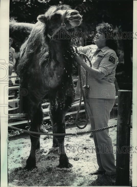 1985 Press Photo Jackie Ackley, area supervisor with camel, Milwaukee Zoo - Historic Images